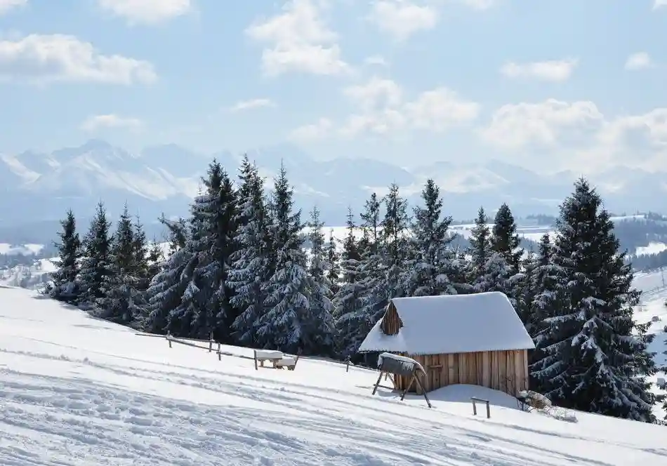 Viešbutis Toporów Premium - atmosferinis interjeras 2